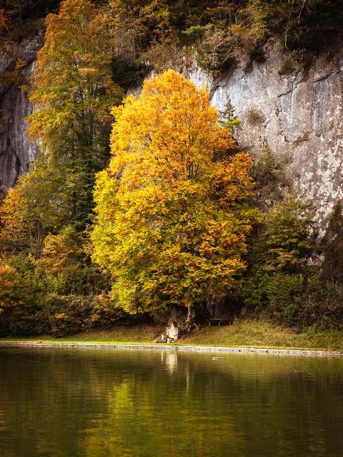 Das Luegstein Kiefersfelden Buitenkant foto