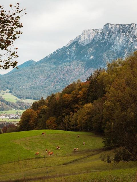 Das Luegstein Appartement Kiefersfelden Buitenkant foto